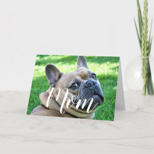 Carte Maman Animal Photo Funky Mothers Day Mignonne Chie