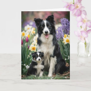 Carte Maman Border Collie Fête des Mères Amour