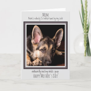Carte Maman Chien Drôle Bonne Fête des Mères Caca de Chi