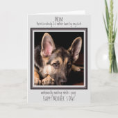 Carte Maman Chien Drôle Joyeuse Fête des Mères Caca de C (Devant)