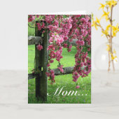 Carte Maman... Dogwood (Fleur jaune)