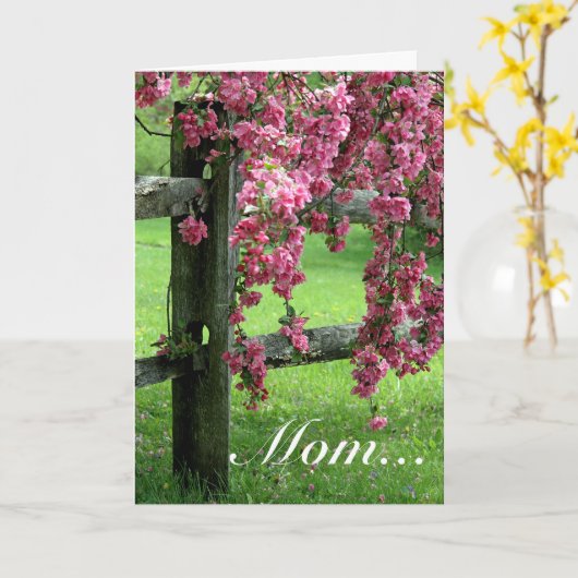 Carte Maman... Dogwood (Fleur jaune)