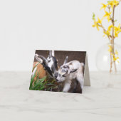 Carte Maman et bébé chèvre (Fleur jaune)