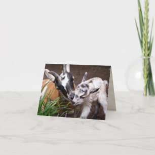 Carte Maman et bébé chèvre