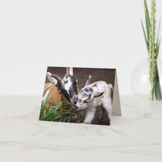 Carte Maman et bébé chèvre (Devant)