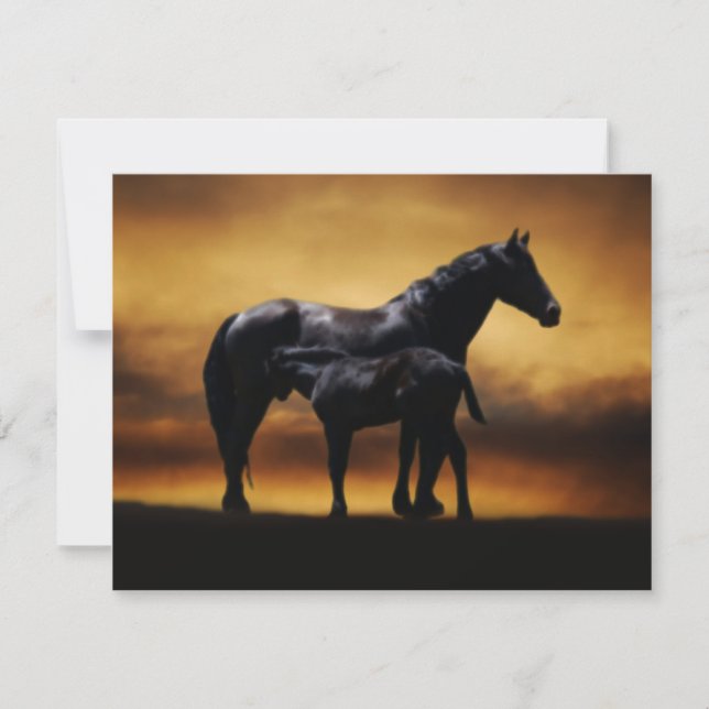 Carte Maman et colt bébé (Devant)