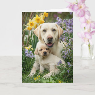 Carte Maman Labrador jaune Fête des mères Amour