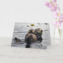 Maman mignonne et Loutres de Mer de Pup