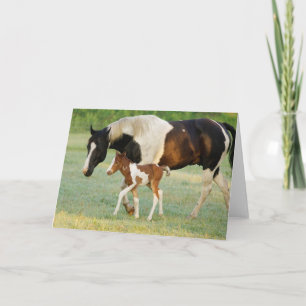 Carte Maman & Nouveau-né Paint Filly