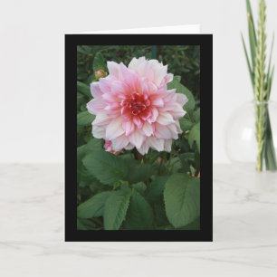 Carte Maman rose ?