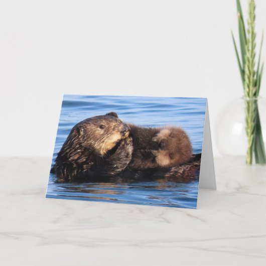 Carte Maman Sea Otter et son adorable Pup (Devant)
