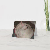 Carte Mamans et fils de despote (Devant)