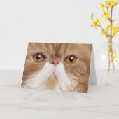 Carte Manche Exotique (Fleur jaune)