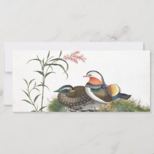 Carte Mandarin Canard peinture chinoise
