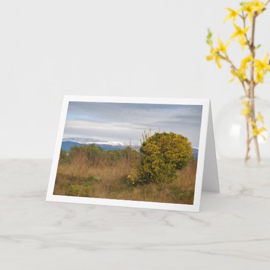 Carte Mandarin Orange Tree et Snowy Mountains (Fleur jaune)