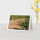 Carte Mandarin Orange Tree Orchard (Fleur jaune)