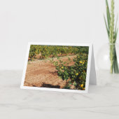 Carte Mandarin Orange Tree Orchard (Devant)