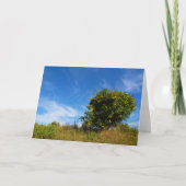 Carte Mandarin Orange Tree Portrait (Devant)