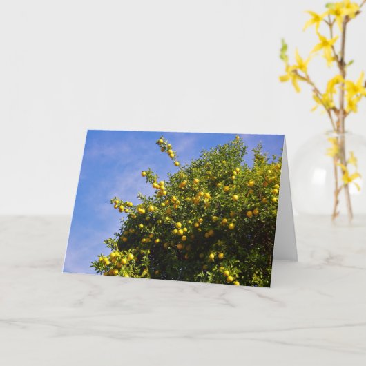 Carte Mandarin Orange Tree Portrait (Fleur jaune)