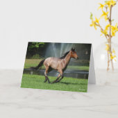 Carte Mangalarga Courir devant la Fontaine (Fleur jaune)