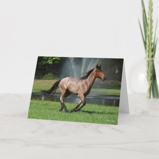 Carte Mangalarga Courir devant la Fontaine (Devant)