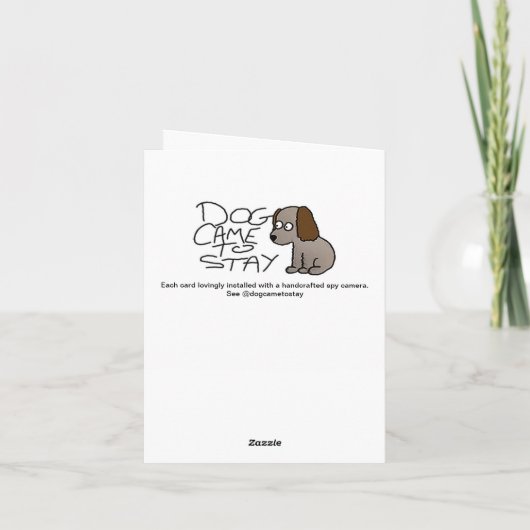 Carte Mangé par un crocodile (Dos)