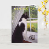 Carte manquante (Fleur jaune)