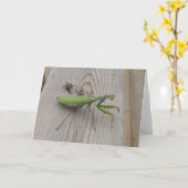 Carte Mante de prière (Fleur jaune)