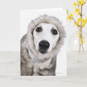 Carte Manteau de fourrure de port de chien de whippet, (Fleur jaune)