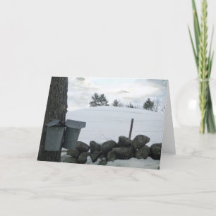 Carte Maple Syrup Buckets NH 2013