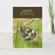 Marbled White