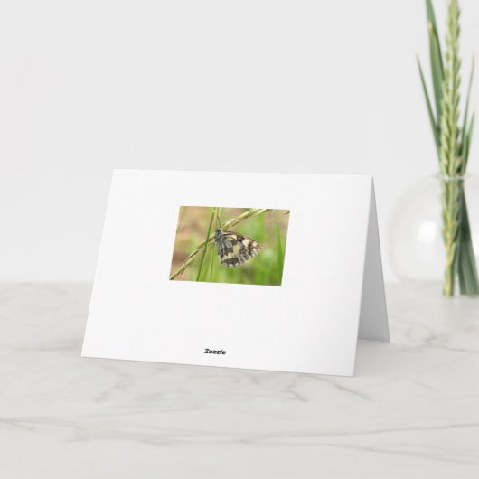 Carte Marbled White (Dos)