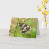 Carte Marbled White (Fleur jaune)