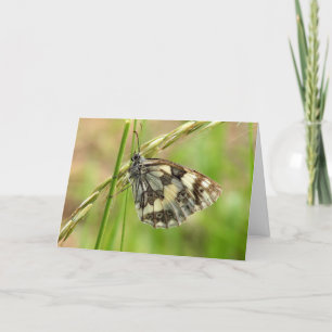 Carte Marbled White