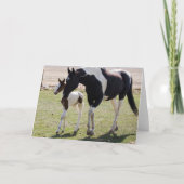 Carte Marche de Mare et Filly (Devant)