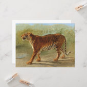 Carte Marche royale du tigre (par Rosa Bonheur) (Devant/Arrière en situation)