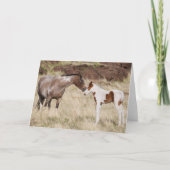 Carte Mare avec Colt (Devant)