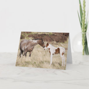 Carte Mare avec Colt