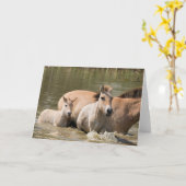 Carte Mare avec Foal Crossing a River (Fleur jaune)