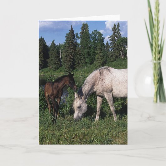 Carte Mare et Foie Arabe 2 (Devant)