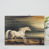 Carte Marengo le cheval blanc (Debout devant)