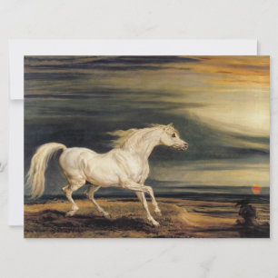 Carte Marengo le cheval blanc