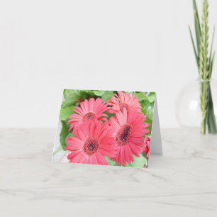 Carte marguerite