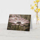 Carte marguerite avec gouttes de pluie (Fleur jaune)