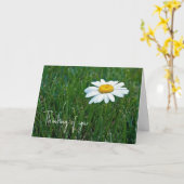Carte Marguerite blanche dans l'herbe penser de vous (Fleur jaune)