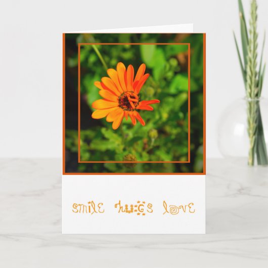 Carte Marguerite-CARTE orange (Devant)