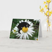 Carte Marguerite de bongo (Fleur jaune)