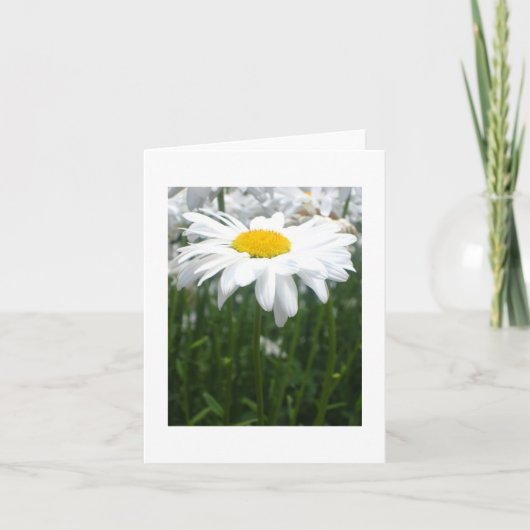 Carte Marguerite de ressort (Devant)