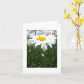Carte Marguerite de ressort (Fleur jaune)