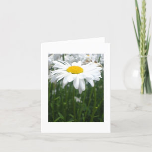 Carte Marguerite de ressort